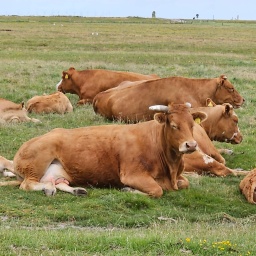 nordsee rundreise 2023_56